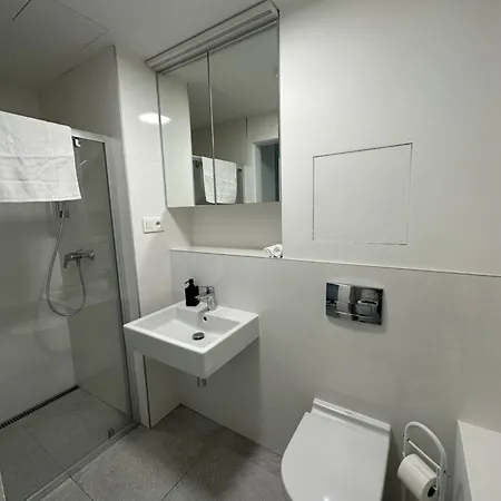 Apartment Ein Park With Free Parking *